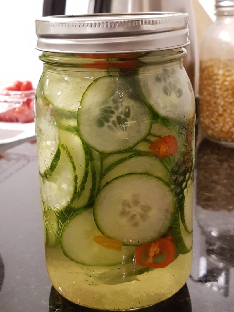 Home-Made Refrigerator Pickled Cucumber - MyRealLifeTips